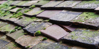 Denshaw roof repair costs